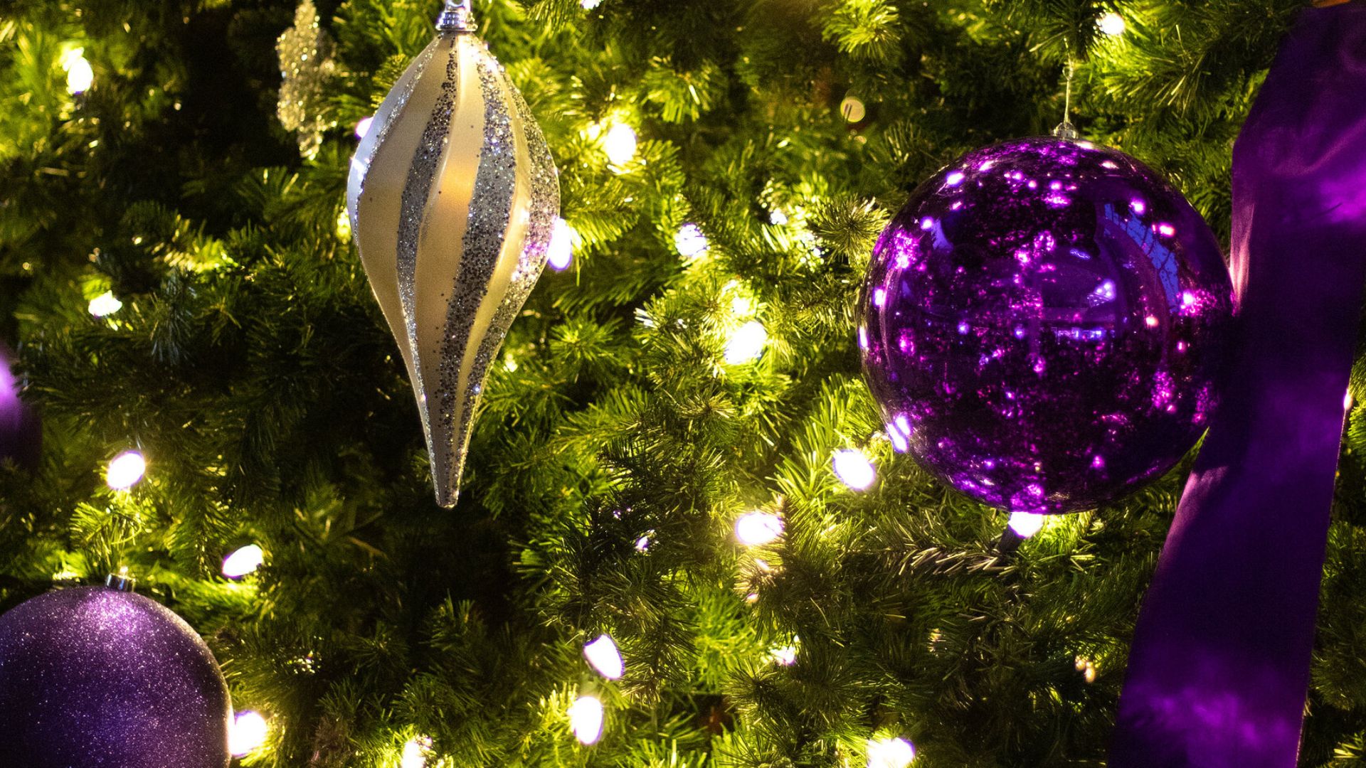 Close photo of purple ornaments on a Christmas tree