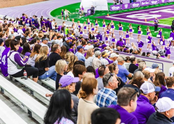 Football crowd cheering in the stadium.