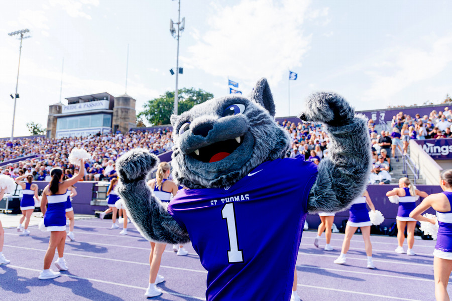Tommie mascot flexes in front of cheerleaders and football crowd in stadium. 