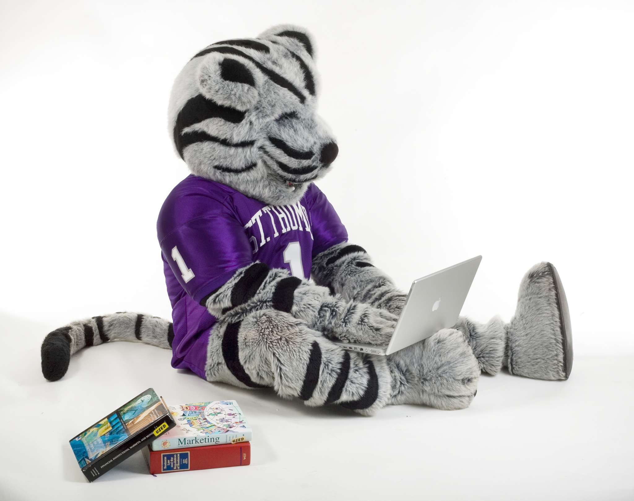 Tommie mascot sitting and using laptop